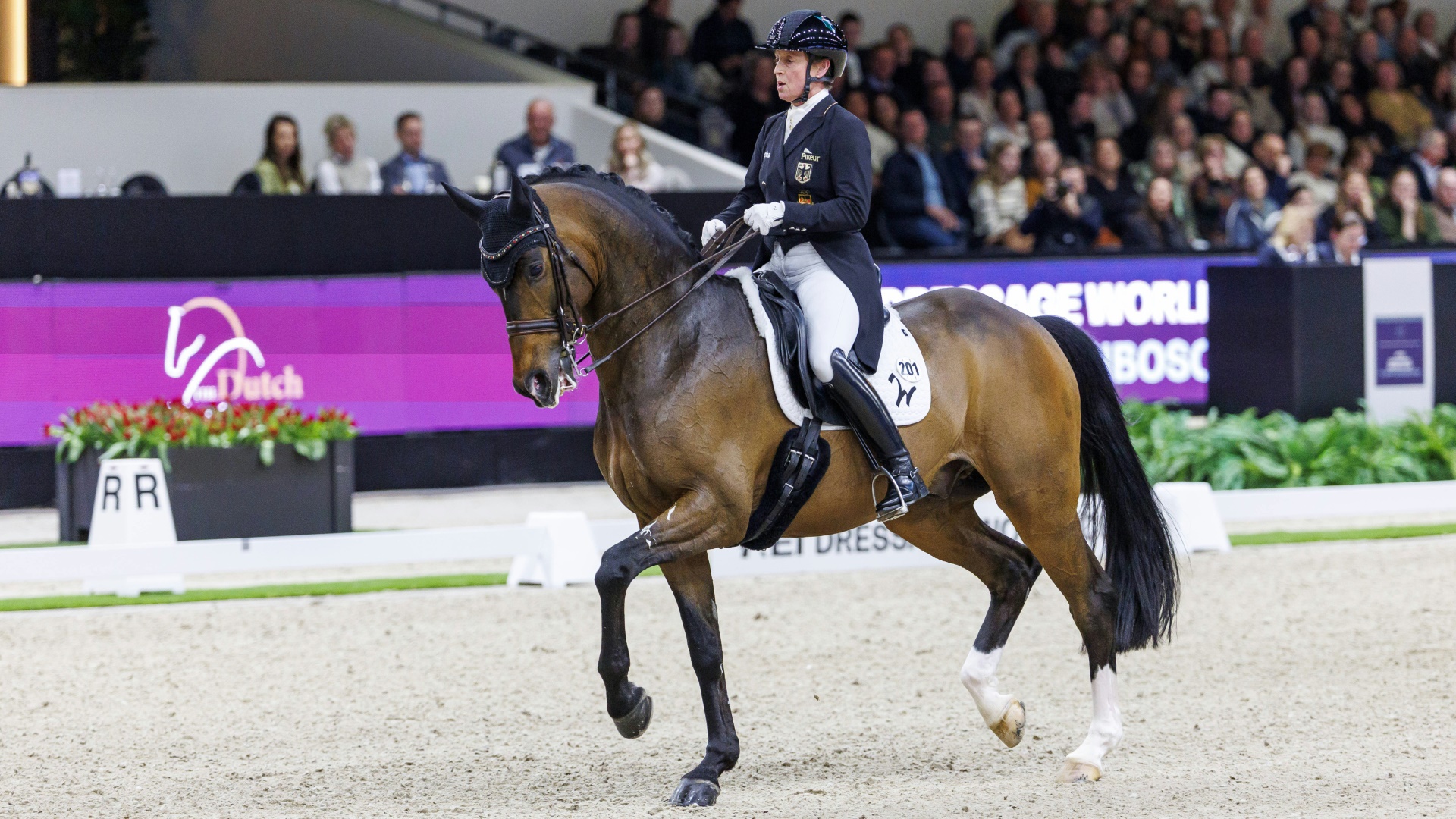 Werth und Quantaz treten beim Weltcupfinale in Basel an