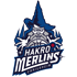 HAKRO Merlins Crailsheim