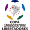Copa Libertadores