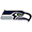 Seattle Seahawks