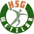 HSG Wetzlar