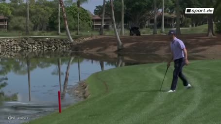 Irre Szene! Golf-Star verjagt Alligator vom Platz