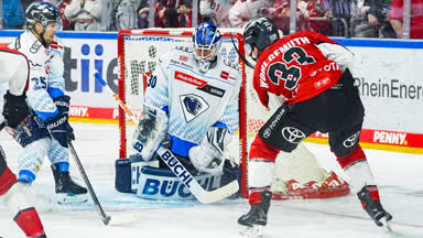 Highlights: Haie schnuppern am Finale
