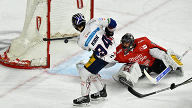 Highlights: Eisbären-Gala in Köln