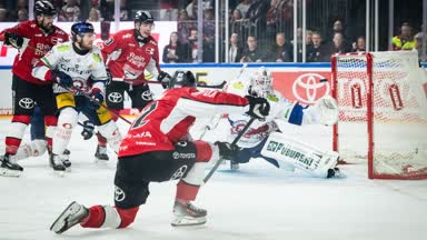 Köln bebt! Haie gewinnen OT-Krimi