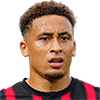 Marcus Tavernier