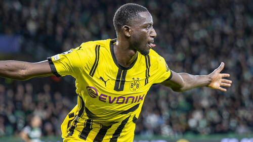 Serhou Guirassy bejubelt seinen zehnten Treffer in dieser Champions-League-Saison
