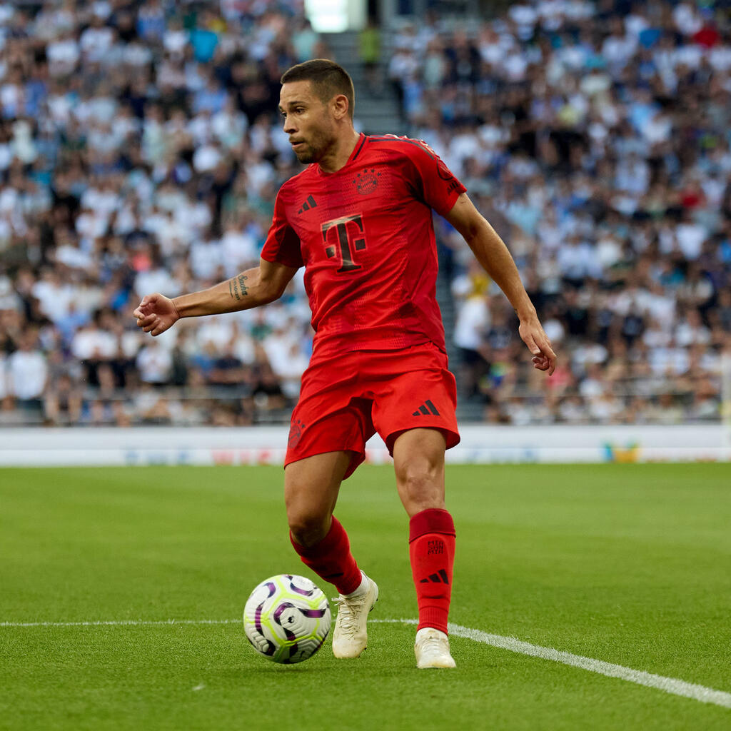 Raphael Guerreiro