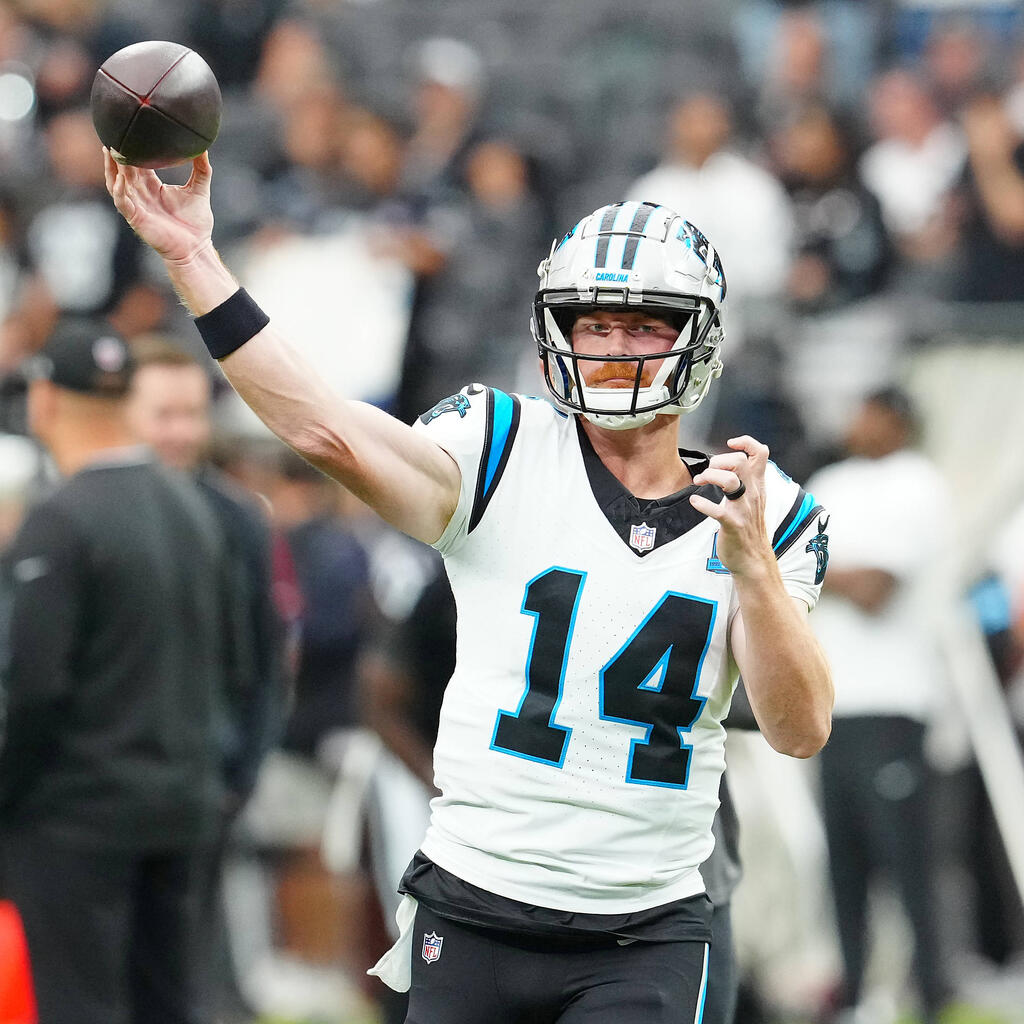 Gewinner: Andy Dalton (Quarterback, Carolina Panthers)