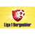 Liga 1