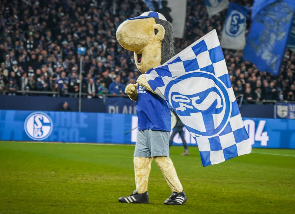 Seit Mai 1995 ist Erwin das Maskottchen beim FC Schalke