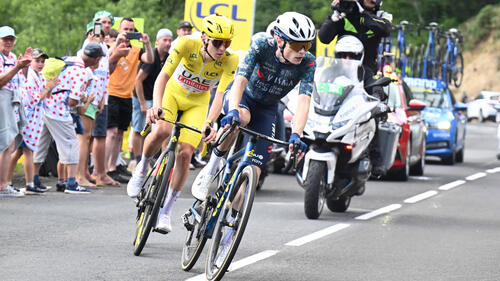 Vingegaard und Pogacar arbeiten an ihrer Tour-Form